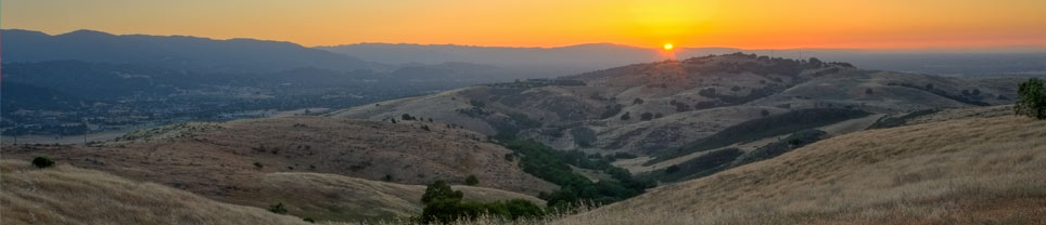 Sunnyvale Property Managers